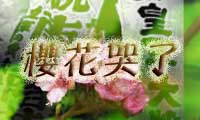 樱花哭了